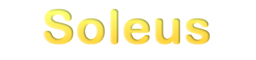 Previous